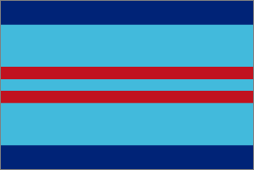 Air Vice Marshal