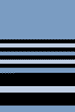 Air Marshal