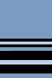 Air Vice Marshal