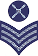 Chief Technician