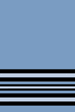 Squadron Leader