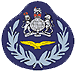 Master Aircrew