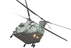 Chinook