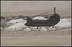 Chinook