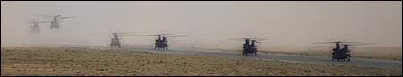 Chinooks