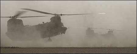 Chinook