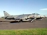 Harrier