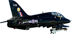 Hawk