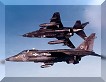 A pair of Jaguars